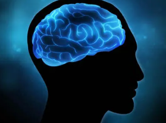 恢复正常睡眠可以减少阿尔茨海默病小鼠模型中淀粉样蛋白的积累