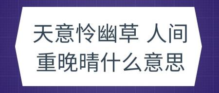天意怜幽草，人间重晚晴：李商隐的《晚晴》与逆境中的乐观精神