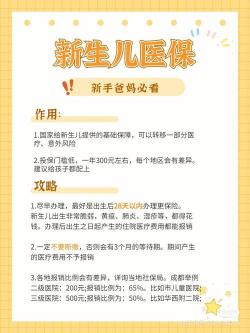 新生儿医保办理指南：流程、材料与注意事项