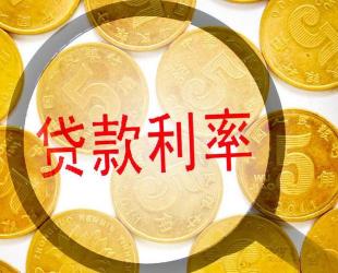 易贷卡详解：利率、期限与利息计算全解析