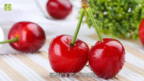 车厘子与樱桃的区别详解：产地、外观与口感的全方位对比
