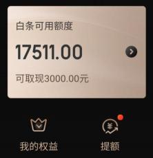 京东白条欠款不还的影响，罚息、征信问题和催收手段