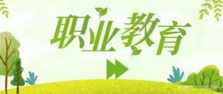 职业技校：中等与高等职业教育之间的选择