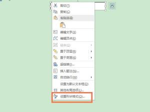 解决Word打开空白问题：清除格式、修复文档与删除模板