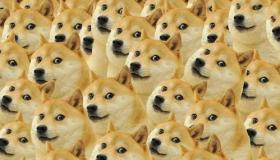doge什么意思？揭秘Doge的起源、流行与意义