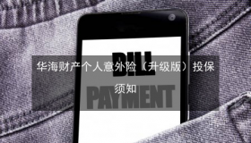 华海保险：海洋与互联网的融合，打造创新保险服务