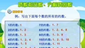 质因数：理解正整数的质数约数