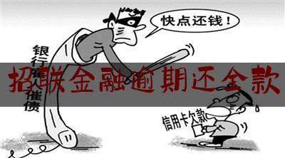 招联金融逾期后果：逾期的严重性及对未来的影响