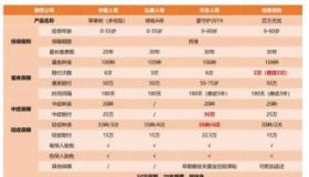 华夏常青树经典版：保障与性价比的完美结合
