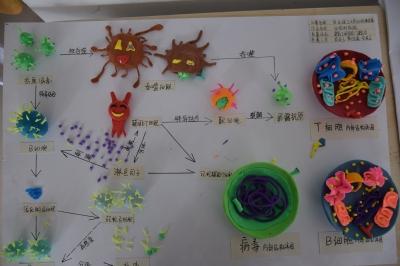 血清：生命科学的奥秘与医学研究的重要元素