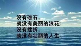 耕耘与收获：努力与成功的密切关系
