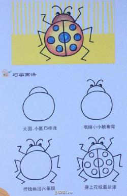 瓢虫简笔画：七星瓢虫的可爱呈现