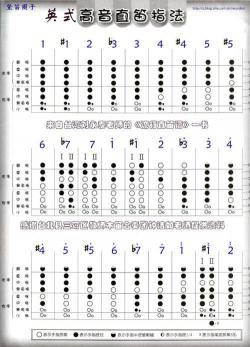 八孔竖笛：从基础操作到高级技巧的完全指南