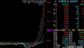 大股东减持后股价暴涨：背后的原因与市场反应