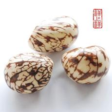 象牙果：南美之宝，修行与艺术的结合