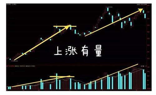 股票会不会跌没了：投资者如何应对长期下跌的个股