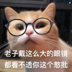 憨批什么意思？网络用语中的傻气可爱代表