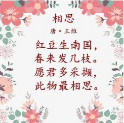 爱情之诗：精选表白诗句，诉说深情厚意
