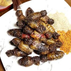 炸蝉蛹：美味与营养的完美结合