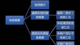 个人负债过高与为他人担保：导致个人征信不良记录的关键因素