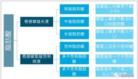 微博短链分析：深入了解博文传播力的关键