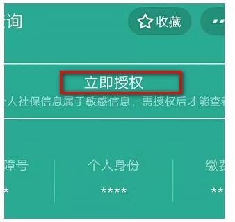 支付宝养老保险查询指南：一站式了解您的养老账户情况