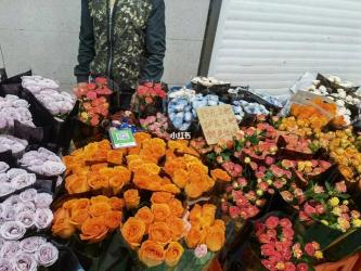 逛花市的奇妙之旅：欢乐、惊喜与期待