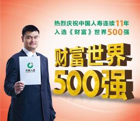 中国人寿理财产品：国寿鑫易宝与金双喜计划助力财富增值