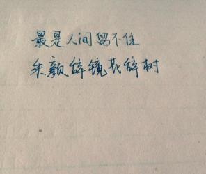 逆光歌词：探索爱情的疼痛与希望