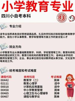 文秘专业就业方向：从基层到高级的多元发展