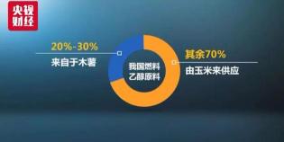 乙醇汽油：环保能源的新选择