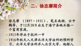 徐志摩的《雪花的快乐》：追求美与自由的灵魂之舞