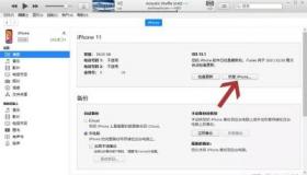怎样下载安装iTunes：针对不同操作系统的详细指南