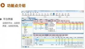 镇政府软件正版化自查报告：正版软件的普及与挑战