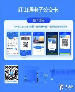 如何使用支付宝查询公交车实时时间：简单易懂的指南