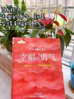 人生态度的特点：内在丰盈、温暖成长与勇敢面对