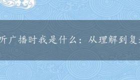 听广播时我是什么：从理解到复述的全方位学习体验