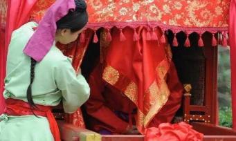 鸠占鹊巢：故事背后的深刻道理与现代社会的警醒