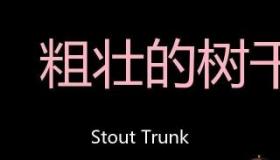深入解析英语中的'trunk'短语：干道、干线、树干和主流的含义
