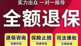 退保险能退回多少钱：解析退保的金额与经济损失