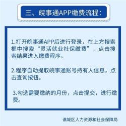 社保怎么在手机上缴费？七大途径轻松搞定