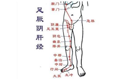 探索期门的准确位置：图解肝经之巅，守护健康之门