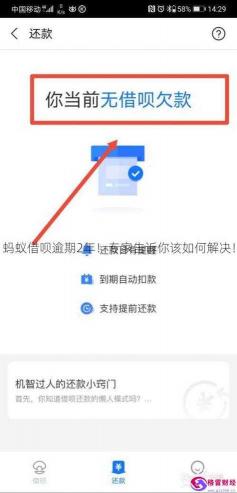 省呗利息高吗？与蚂蚁借呗相比，利息情况大揭秘