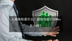人身保险的保险标的是人的生命和身体