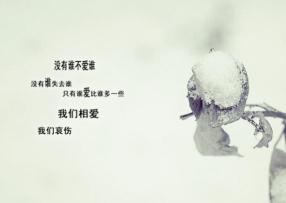 孤单寂寞的句子：心灵深处的独白与疗愈