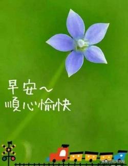 早安问候语图片：温馨启程，每日好心情从这里开始！