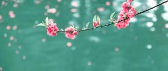 春日赞歌：历代诗词中的春天之美
