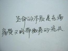 成长的脚印：一步一脚印，记录人生的精彩旅程