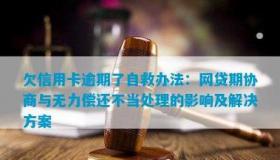 网贷欠款的民事纠纷与起诉风险：数额多少是关键？