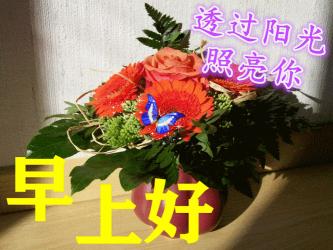春日心语：那些关于春天的说说心情短语，温暖又动人！